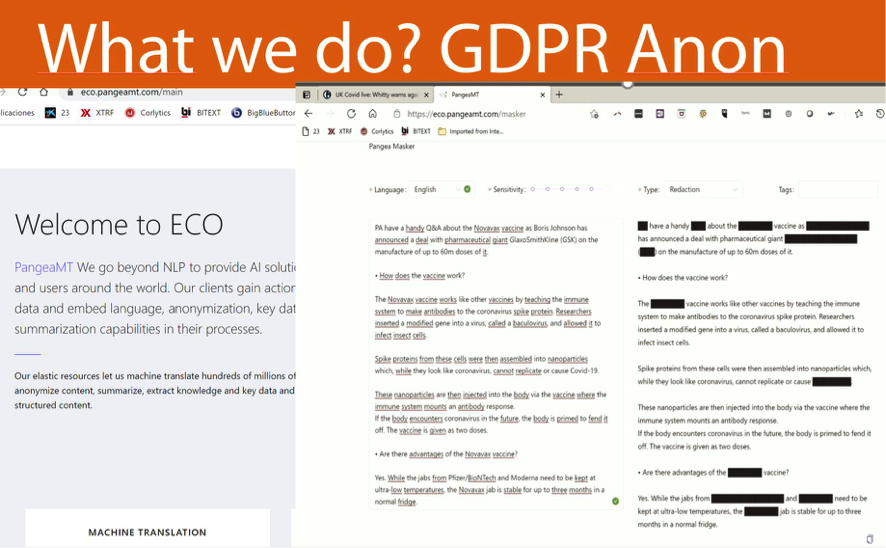 Get to marry Anonymization [Data Masking] and Deep Adaptive Machine Translation