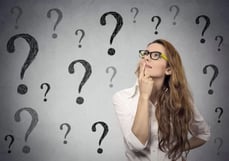 professional translation project